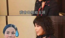 爆料王菲打牌视频播放在线观看,独家打牌视频在线观看